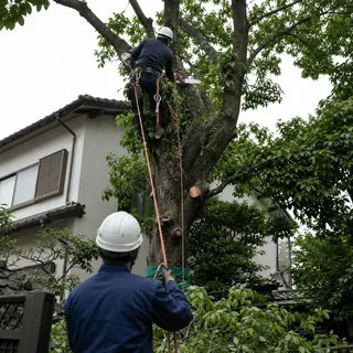 伐採作業