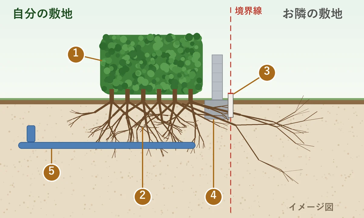 イメージ図：塀のきわに植えられた生垣の断面。株が列になって連なり、根が重なり合って塀の基礎の下から隣地側へ伸びている。境界線の地際に境界標、敷地の地中に埋設管がある