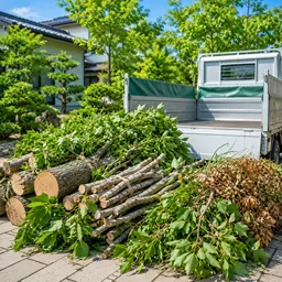 剪定の作業写真