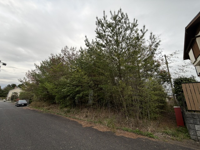 加賀郡吉備中央町の空き家｜伐採前、道路にはみ出した庭木