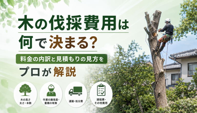 木の伐採費用は何で決まる?料金の内訳と見積もりの見方をプロが解説