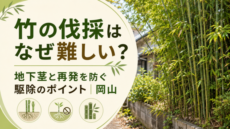 竹の伐採はなぜ難しい?地下茎と再発を防ぐ駆除のポイント