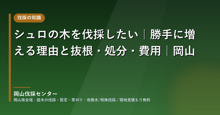 岡山のシュロの木の伐採・抜根|岡山伐採センター
