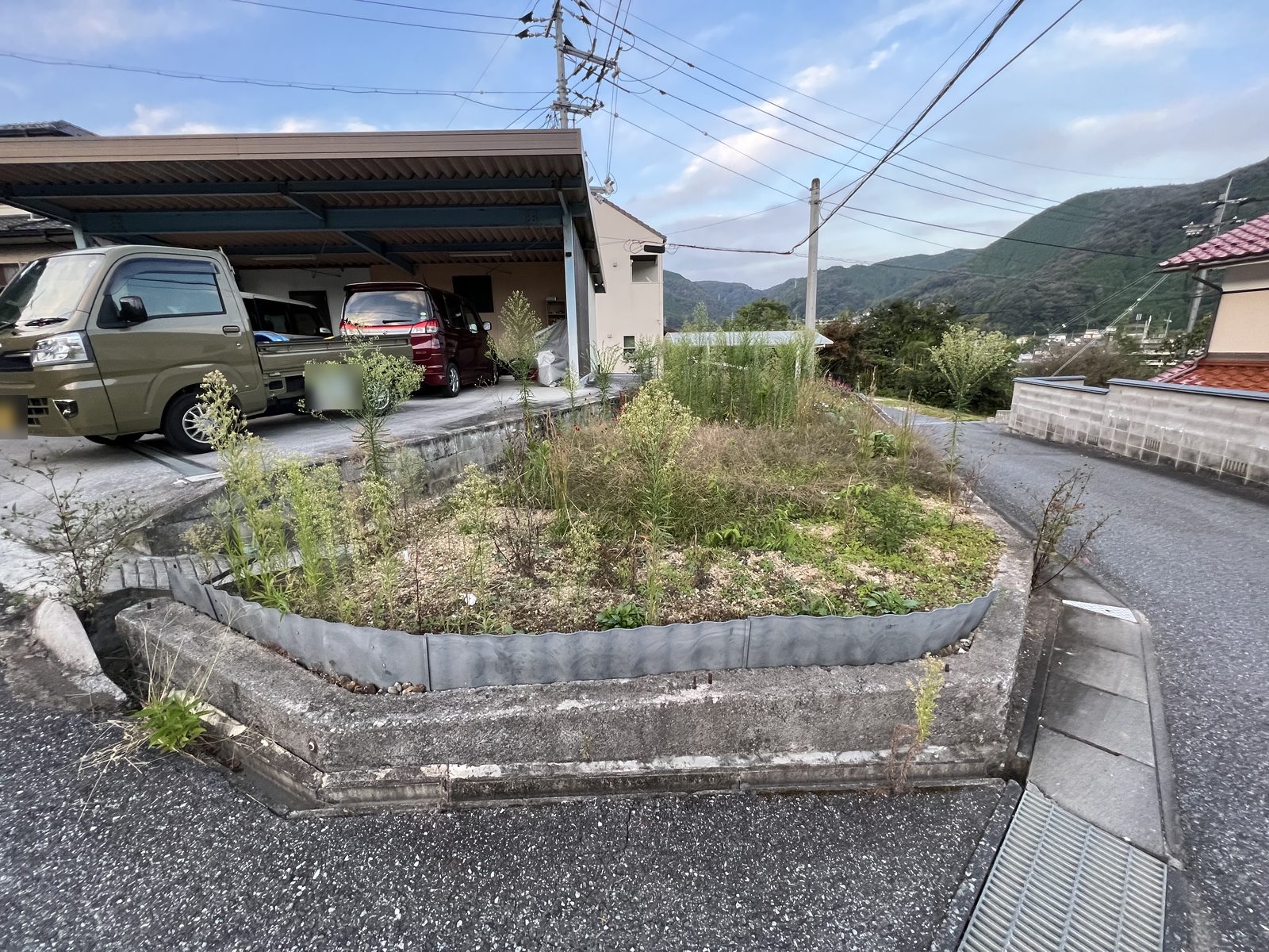 使わなくなった畑｜作業前：畑に草が伸びていた状態