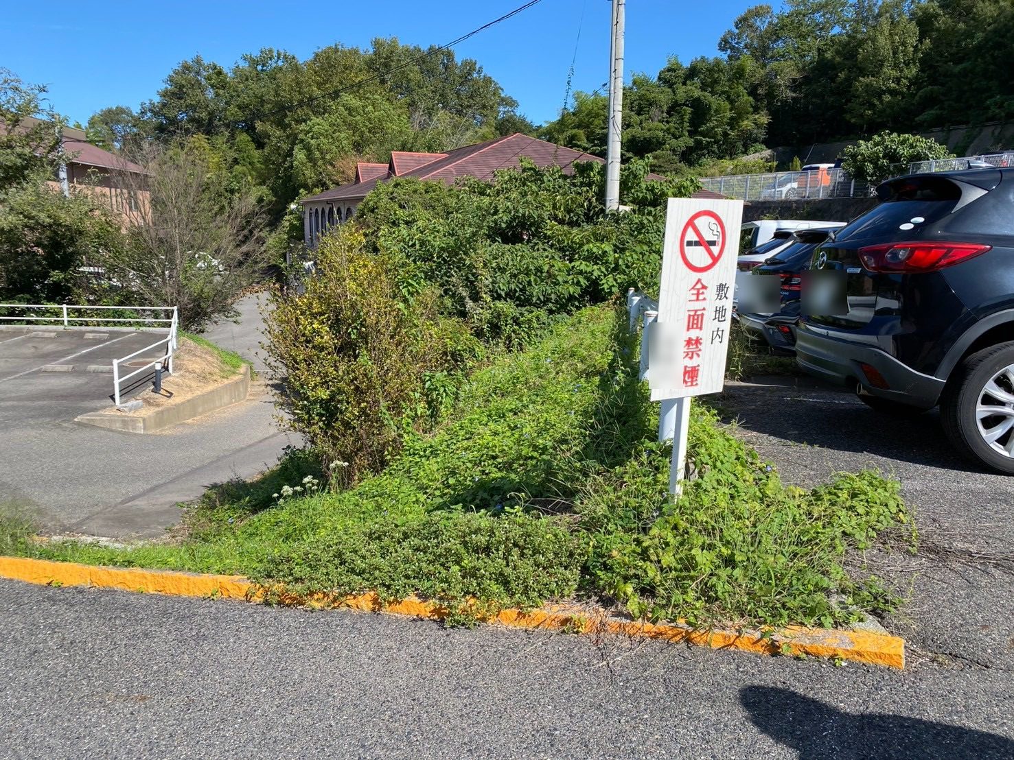 岡山市中区今谷｜作業前：駐車場沿いの法面