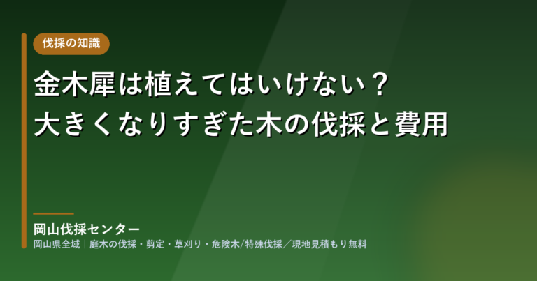 金木犀の伐採・剪定・抜根｜岡山伐採センター