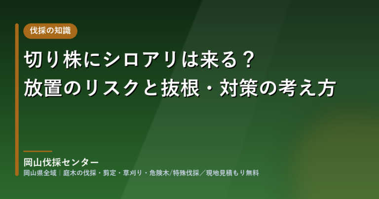 切り株とシロアリの関係と伐根・抜根｜岡山伐採センター