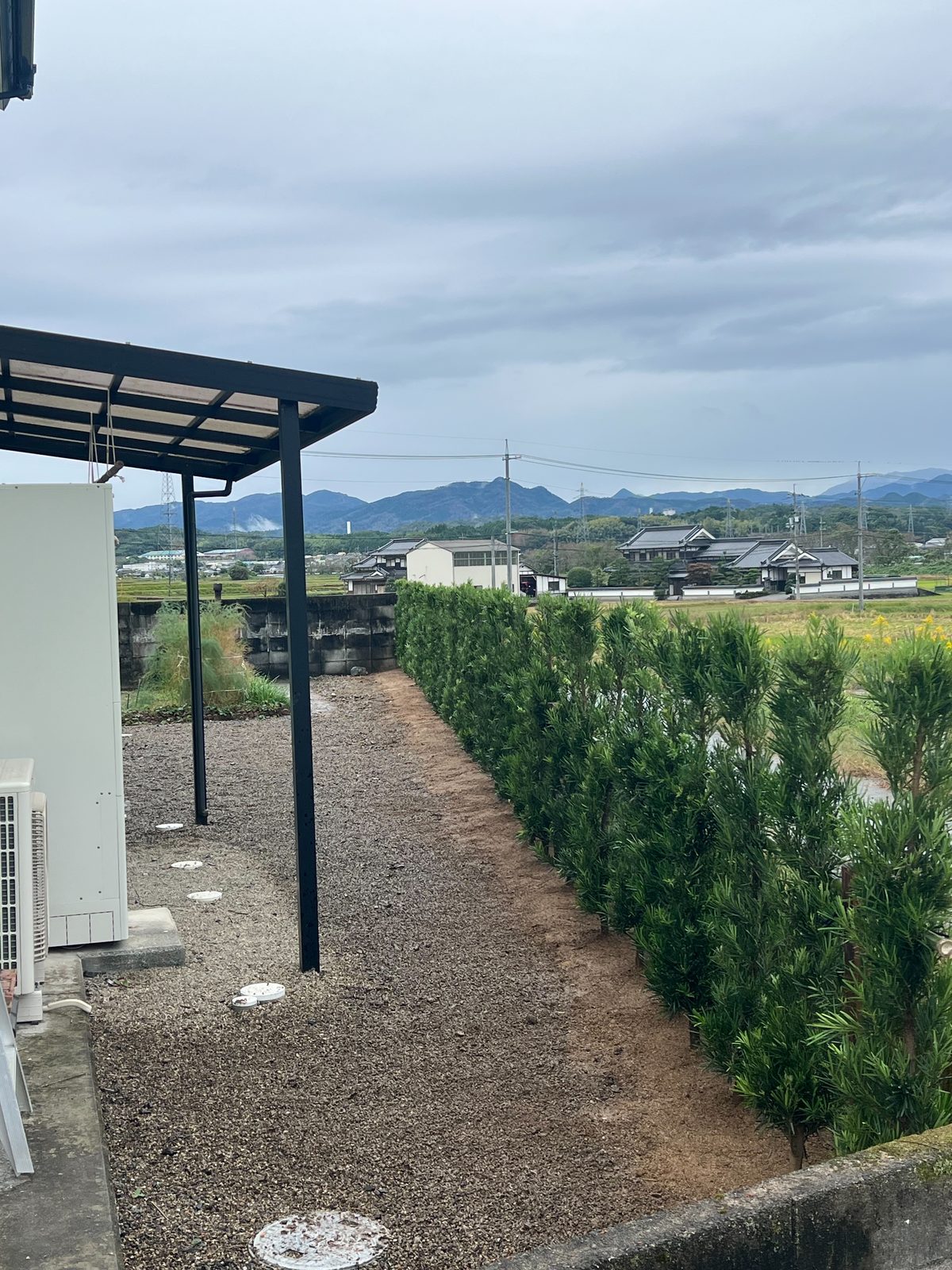 津山市久米川南｜作業後：植え替えた生垣