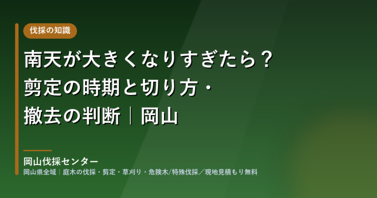 南天の剪定・撤去|岡山伐採センター