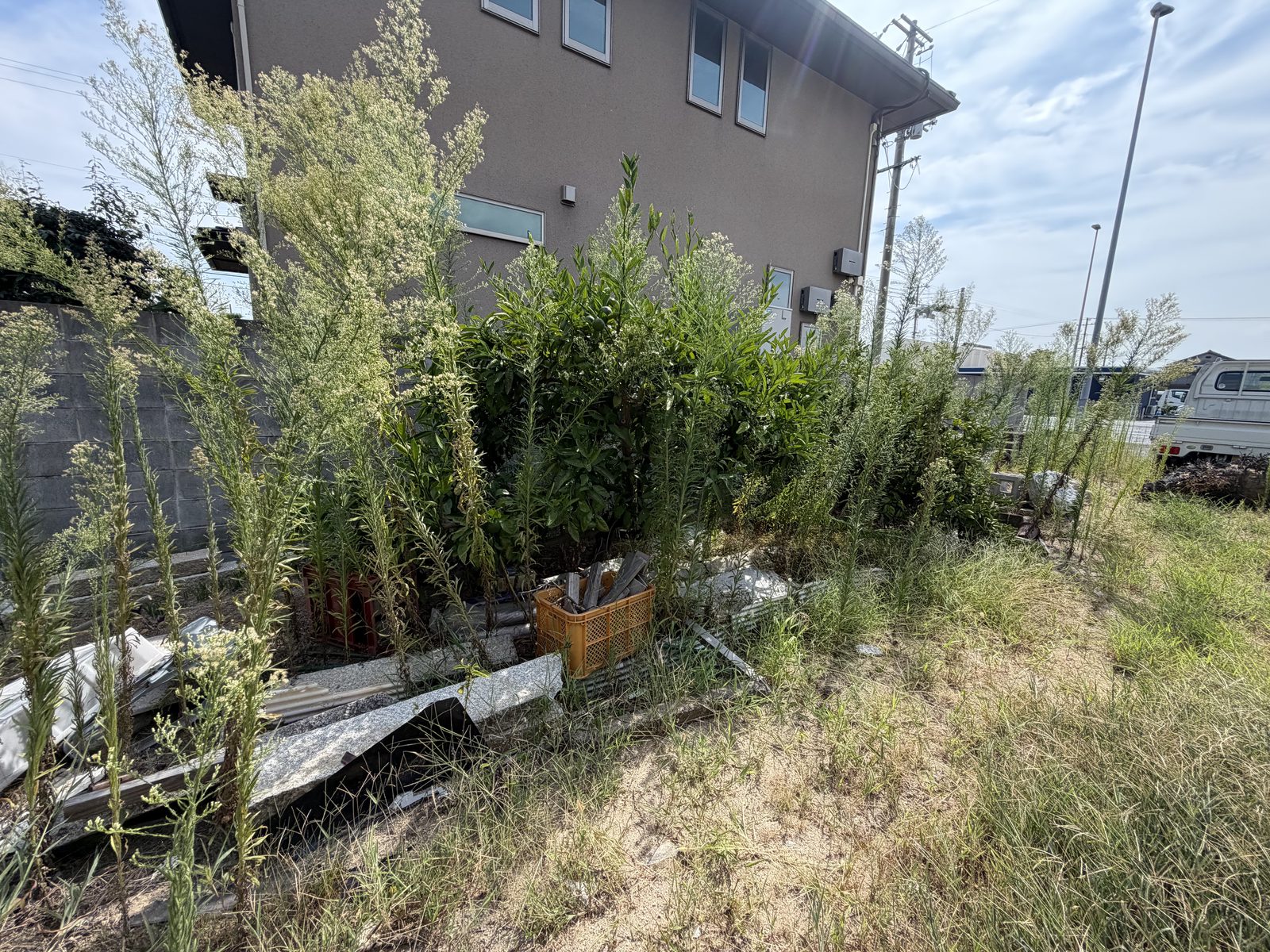 倉敷市連島町｜作業前：草木や置かれた物があった状態